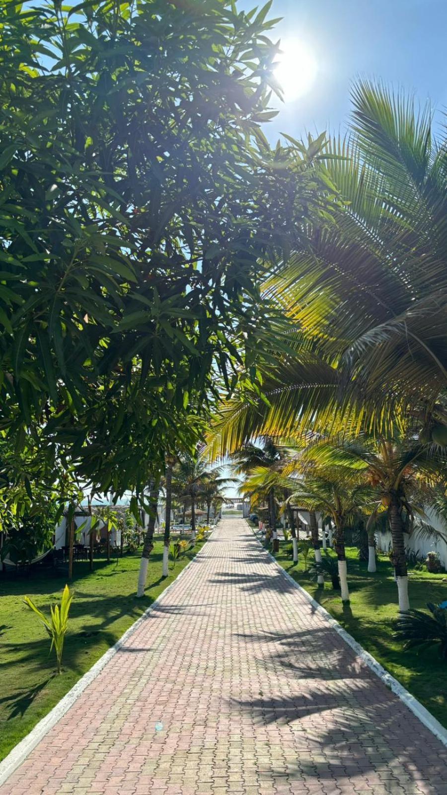 Hotel La Mar Playas Bagian luar foto